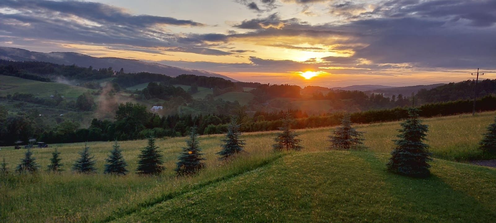 Domki Bieszczady