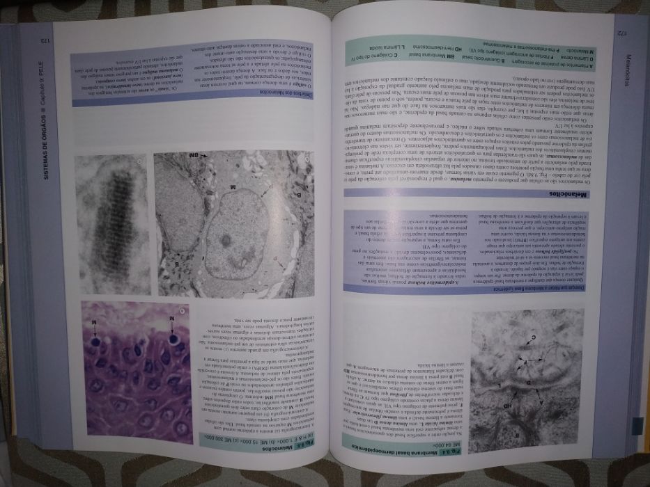Livro Medicina - Wheater Histologia Funcional - 5ª Edição