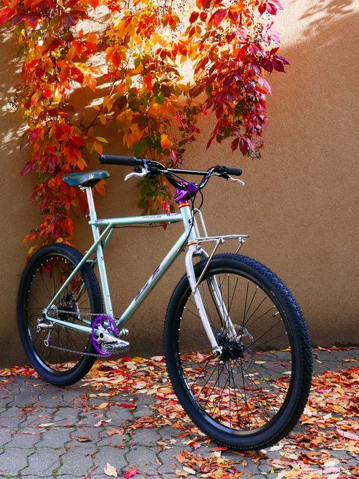 GT Palomar Chris King Garbaruk Retro Brooks