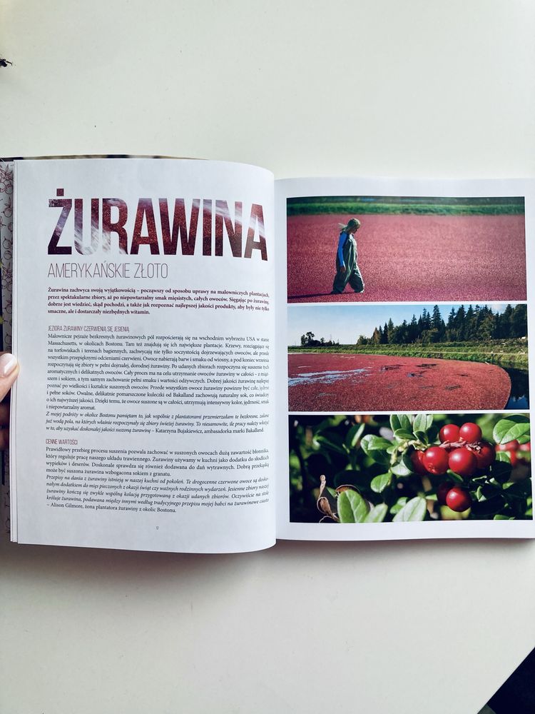 Wspaniała książka kucharska wypieki z bakaliami