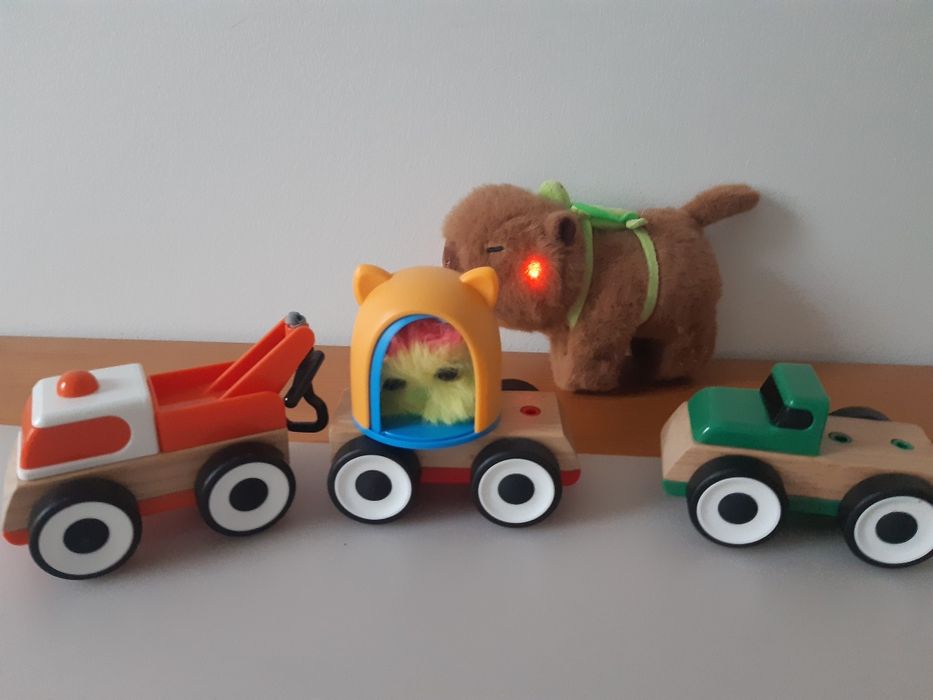 Dla dzieci: pociąg drewniany, kotek i świecąca, grająca Kapibara. NOWE