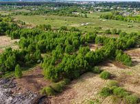 Продаж інвестиційної земельної ділянки у Підрясному. БЕЗ КОМІСІЇ.