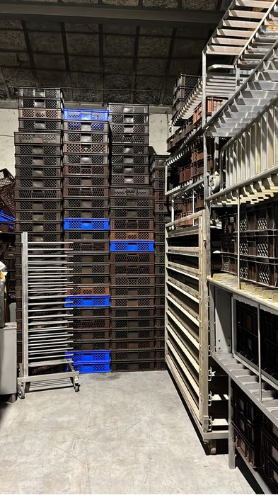 Skrzynka piekarnicza Skrzynka plastikowa skrzynka ażurowa.