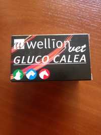 Wellion Gluco Calea