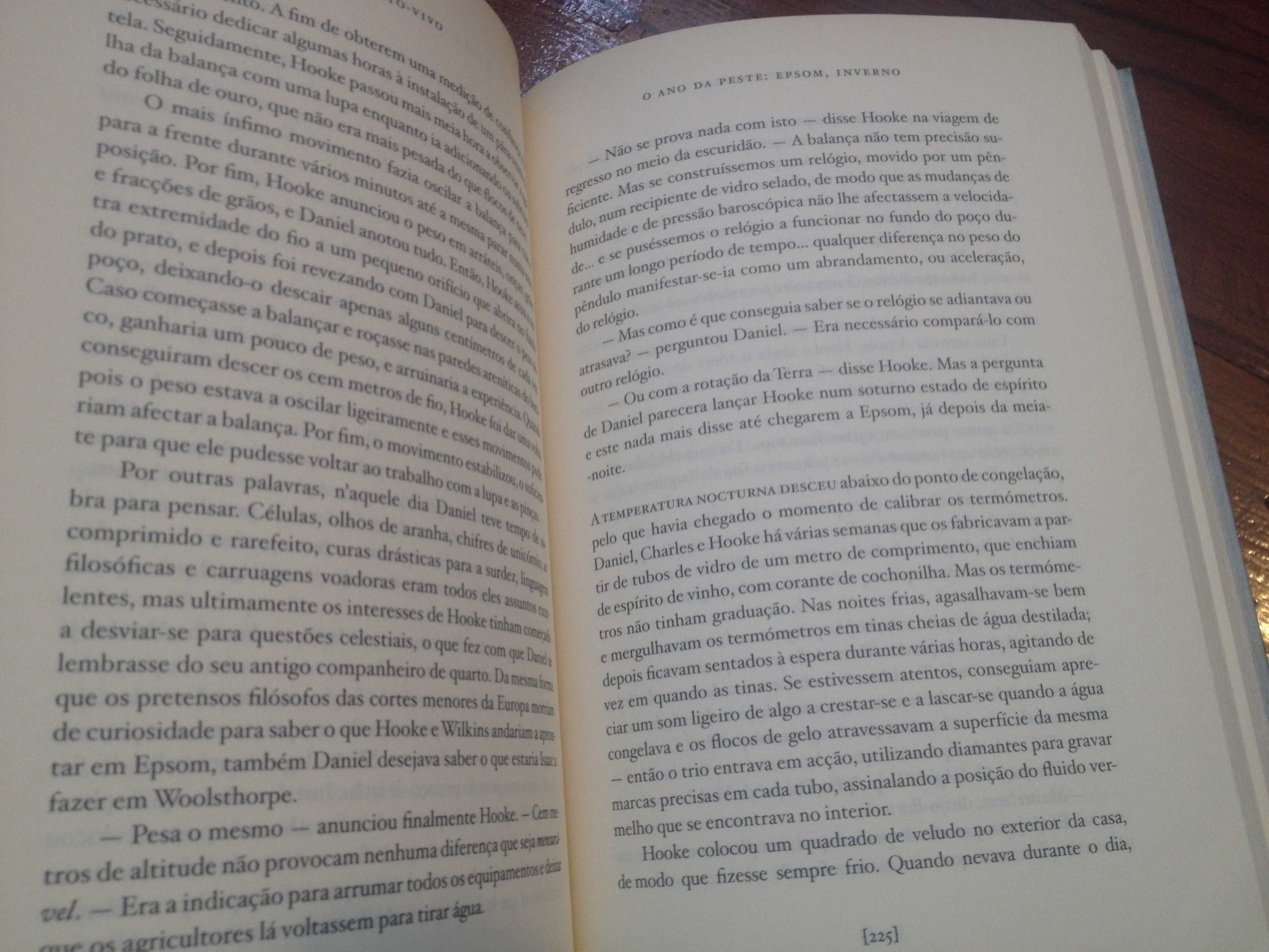 Neal Stephenson - Argento-vivo