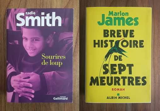 Livres en Français - Livros em Francês
