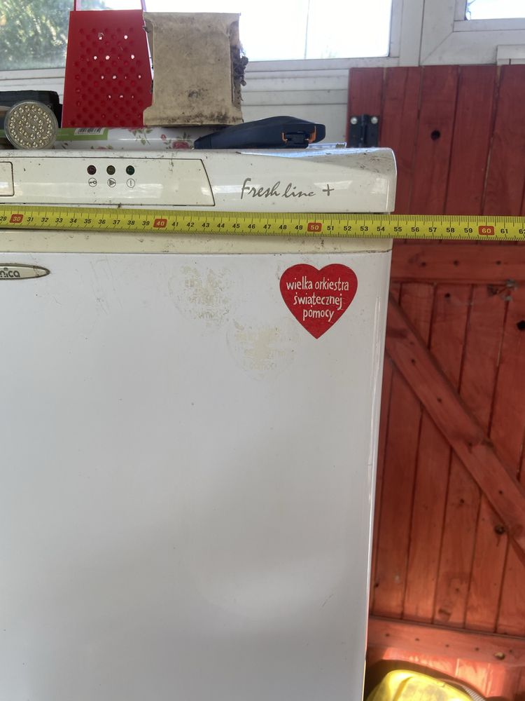 Lodówka Amica Tanio