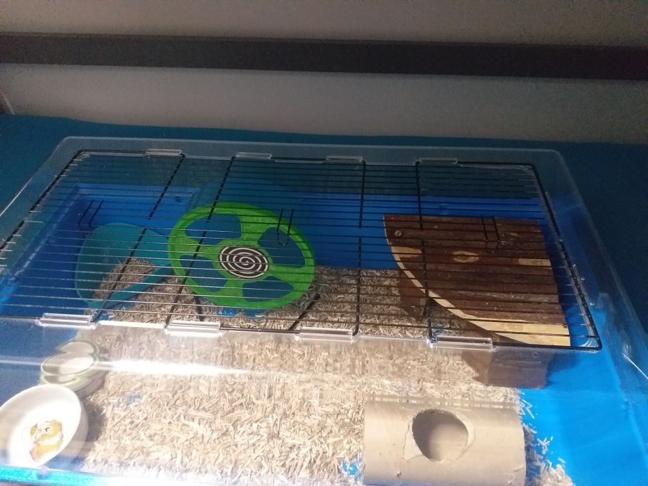 Duża klatka dla chomika, świnki morskiej z wyposażeniem