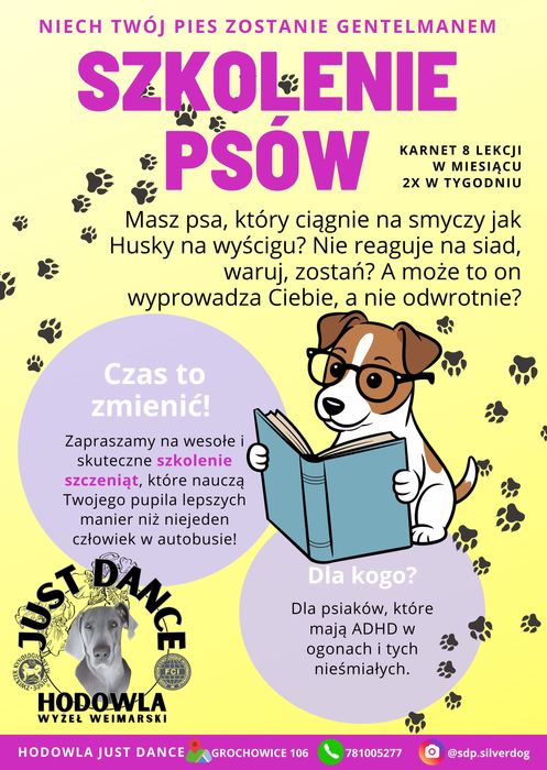 Szkolenie psów. Niech Twój pies zostanie gentelmenem.