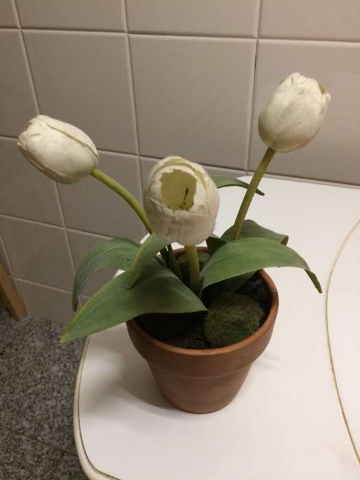 Vaso com tulipa artificial