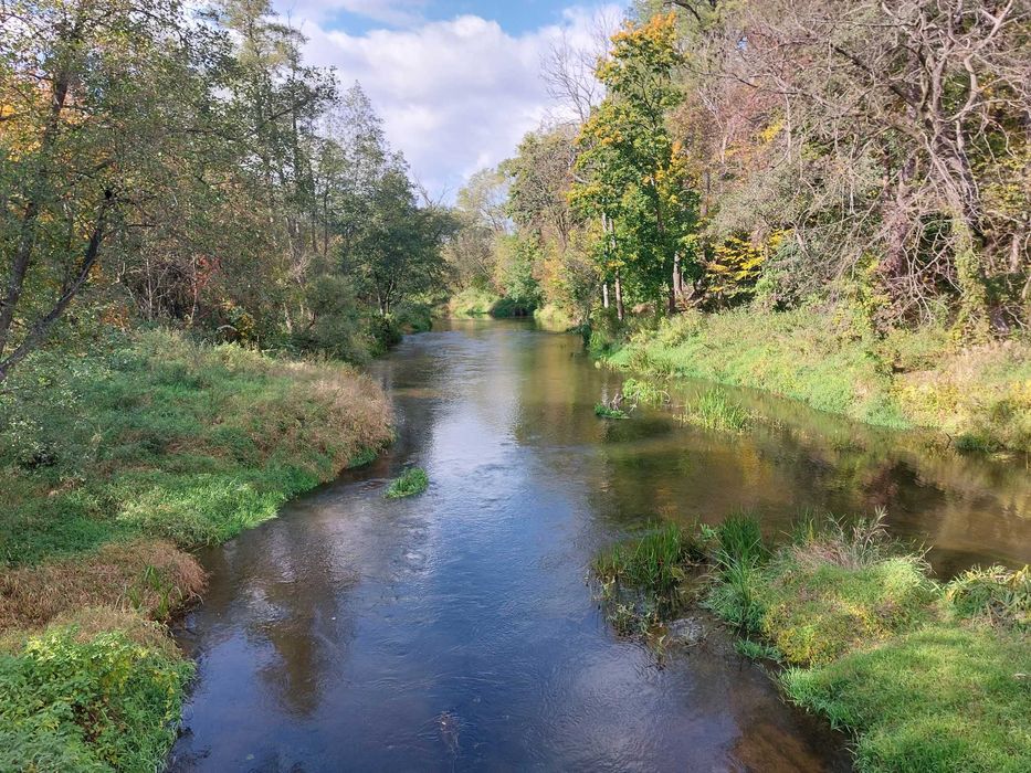 Działka nad Wkrą i przy lesie, powiat płoński