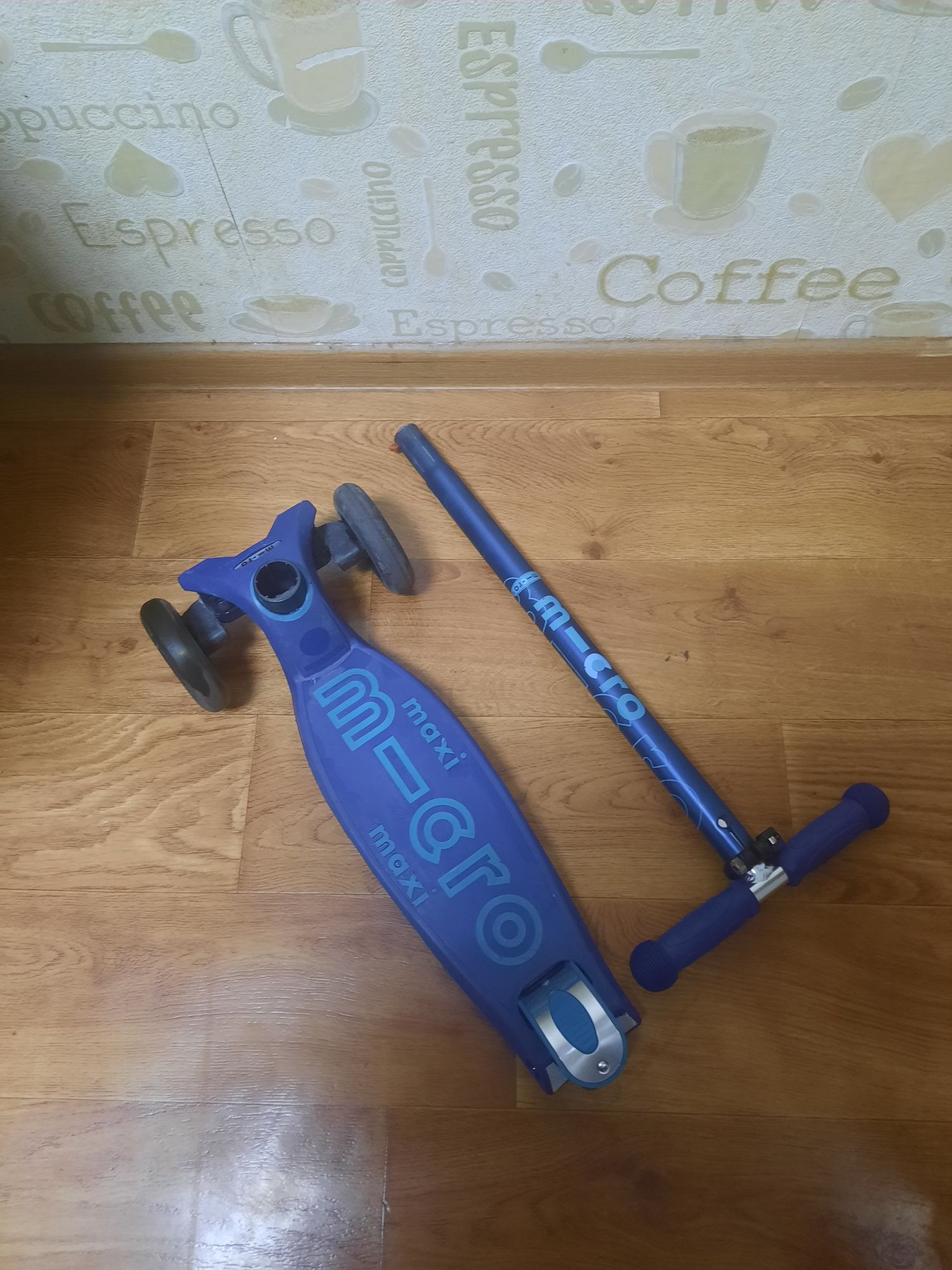 Самокат дитячій Micro Maxi