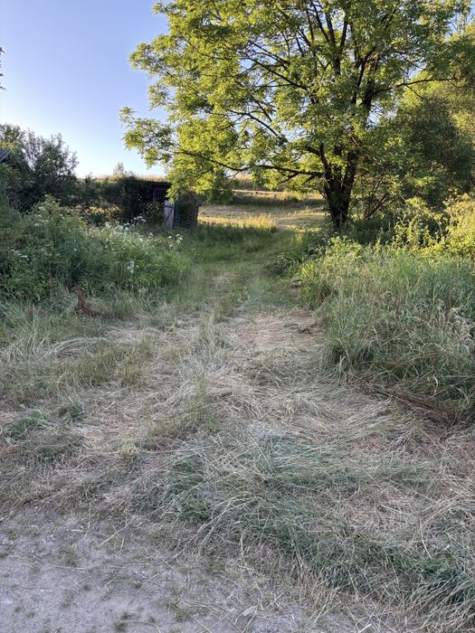 Земля в карпатах