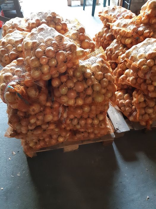 Sprzedam cebulę w workach lub luzem