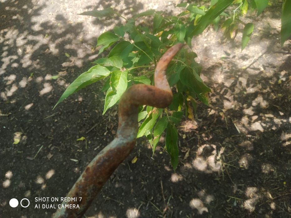 Припон,кілок,для тварин.