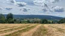 Działka budowlana Zakrzów 40 a