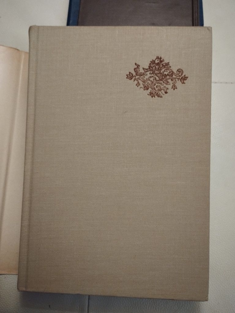 Harnas Barok - historia literatury polskiej