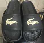 Chinelos Lacoste (39)