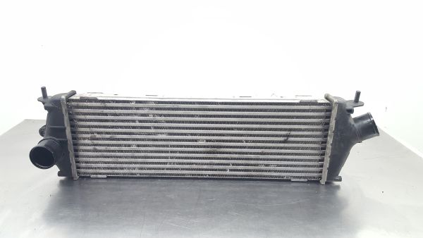 Radiador do intercooler RENAULT Trafic II (FL)