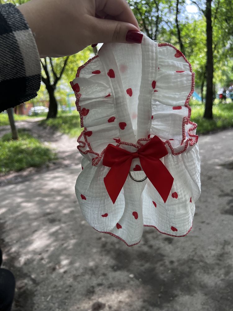 Платя для собак