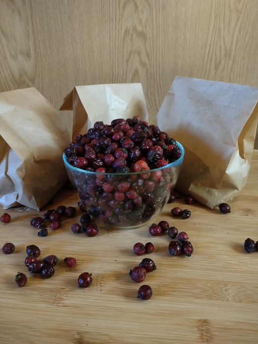 3 kg Suszona dzika róża 2025 ekologiczna