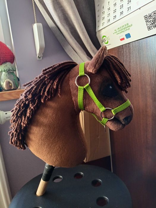 Hobby horse Rdn golony