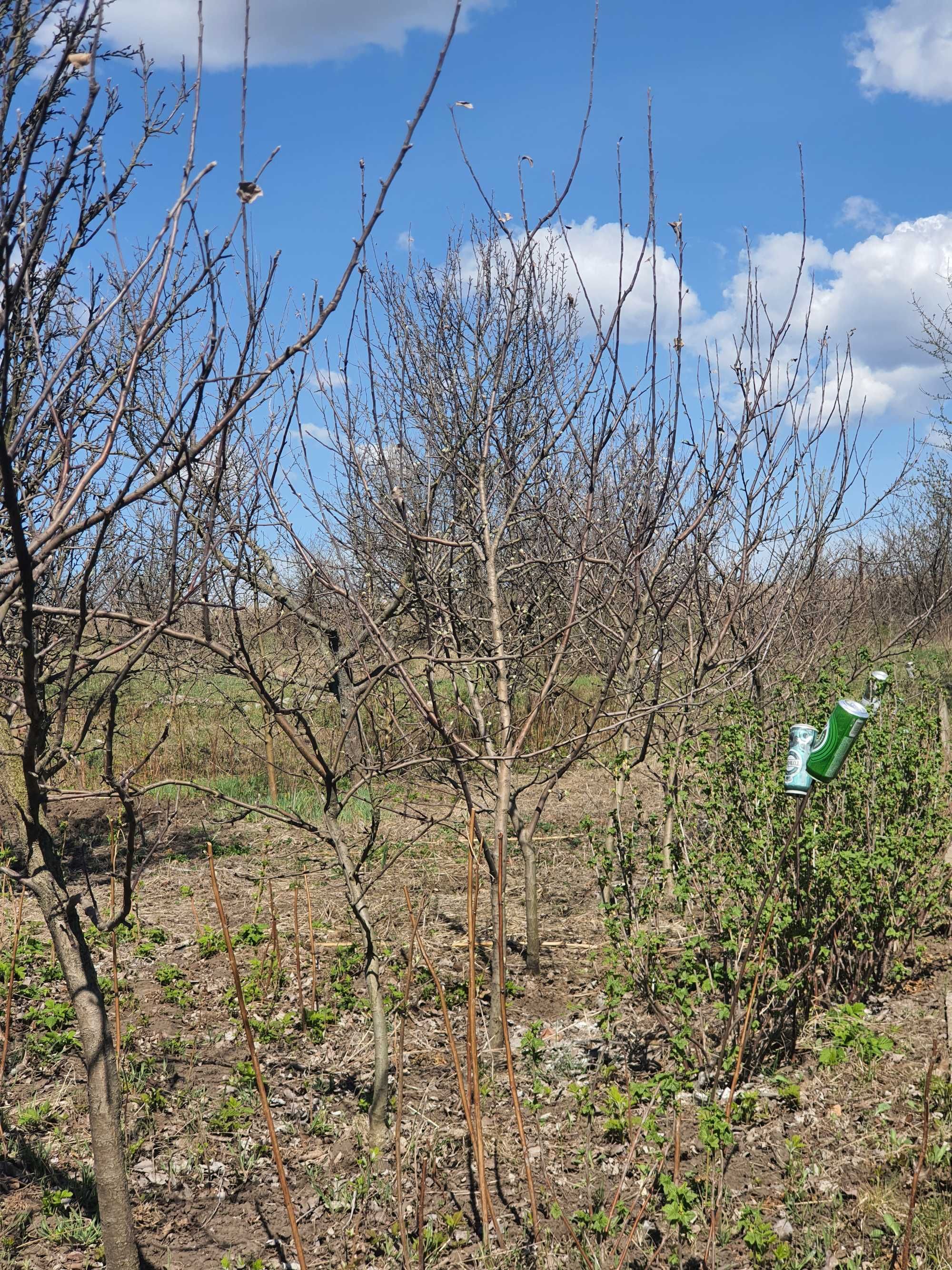 Продаю дачу с видом на Днепр р-н Волосского