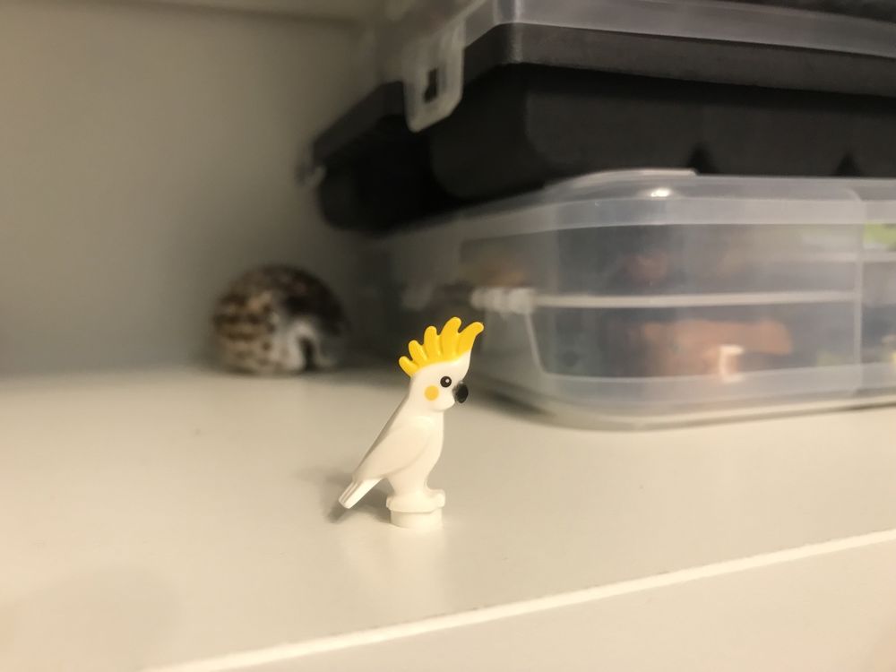 LEGO Ptak Papuga Kakadu Piraci Biały Żółty 6333pb01 pirates
