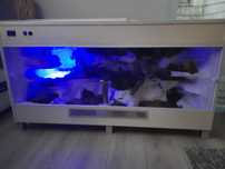 Terrarium 120x60x60