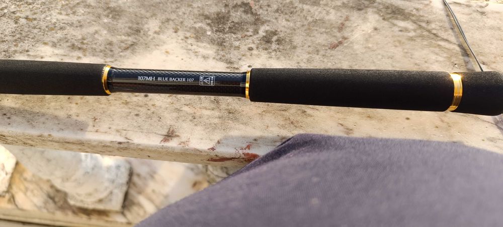 Cana Spinning Daiwa Morethan AGS 107MH