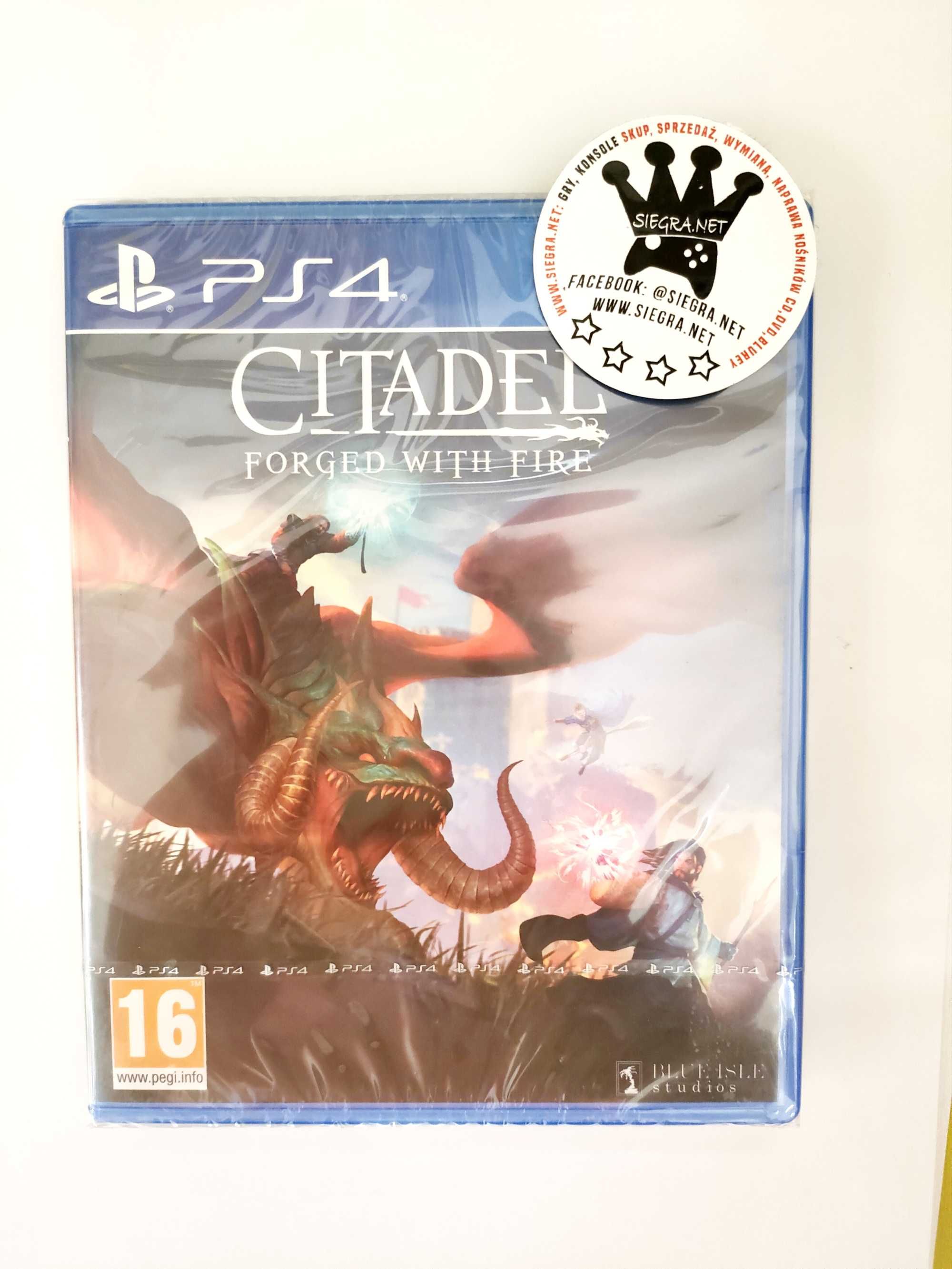 Citadel Forged with Fire Ps4 nowa