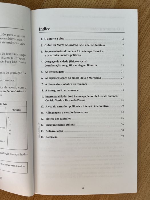 O Ano da Morte de Ricardo Reis - Livro Resumos