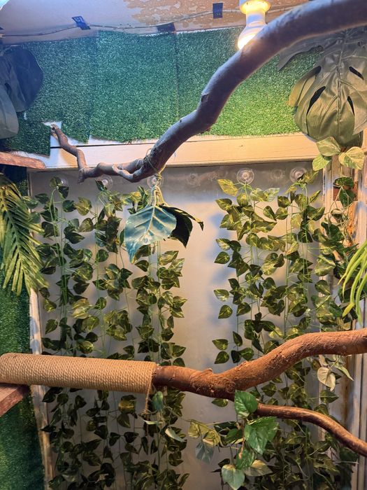 Sprzedam terrarium dla duzej jaszczurki