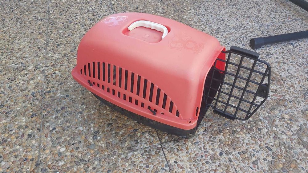 Transportadoras animais domésticos