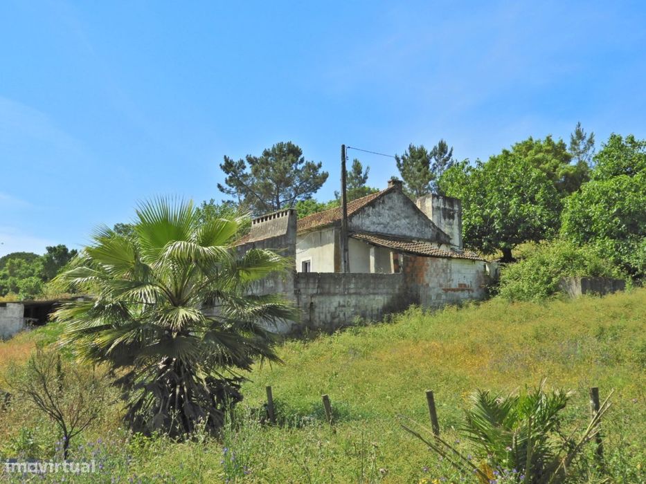 Quintinha com 44.020 m2 de terreno