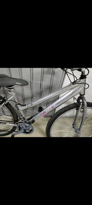 Bicicleta (roda 26) da Esmaltina