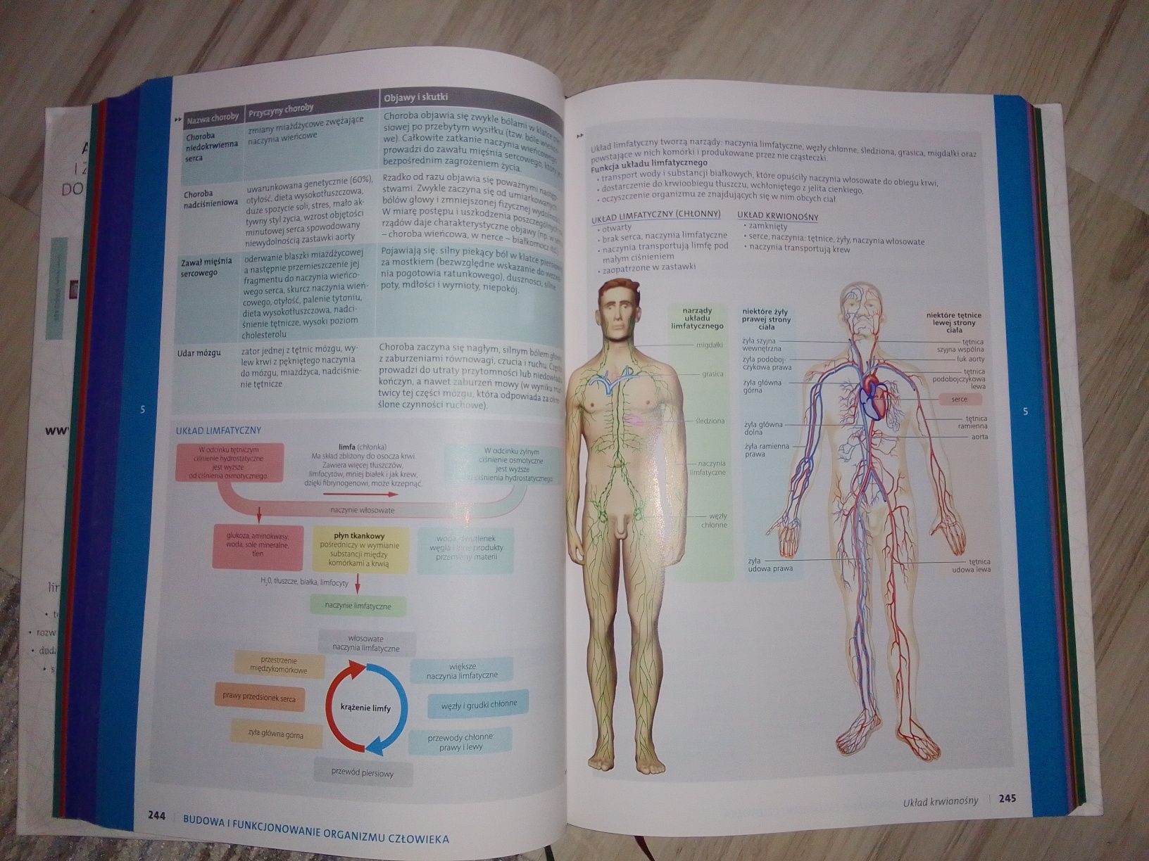 Vademecum biologia operon