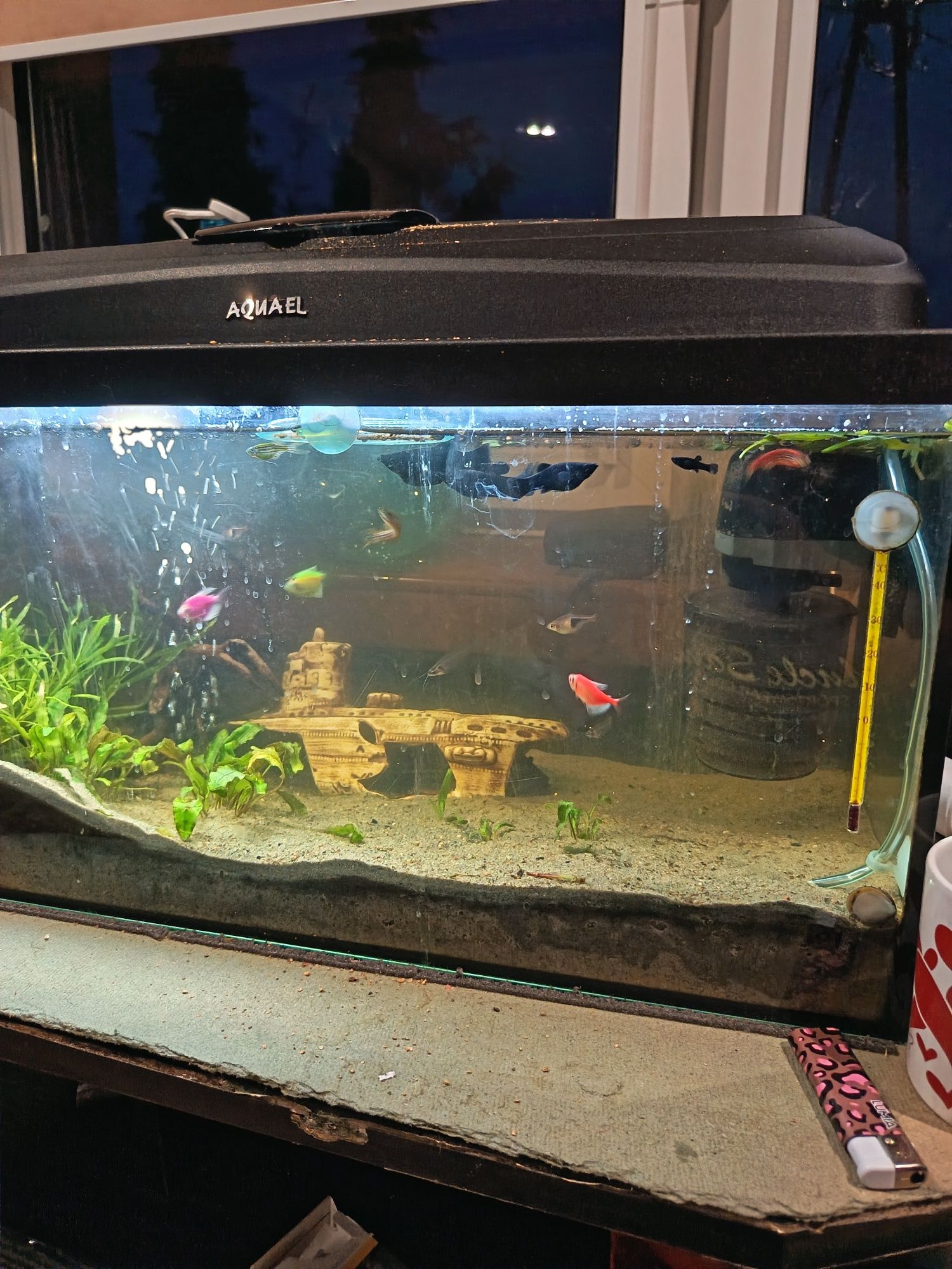 Akwarium 50L  bez ryb