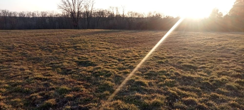 Sprzedam działki  przy lesie  w Trzebiechowie