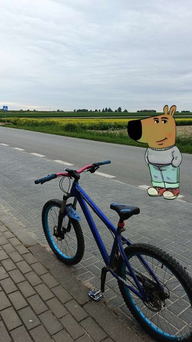 Dartmoor Hornet 2016 M