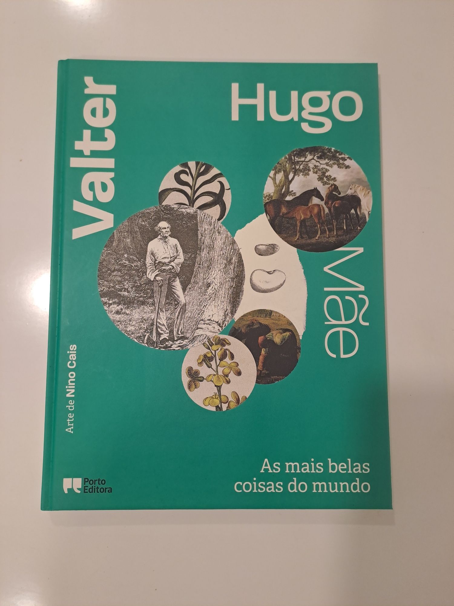 Valter hugo mãe - as mais belas coisas do mundo