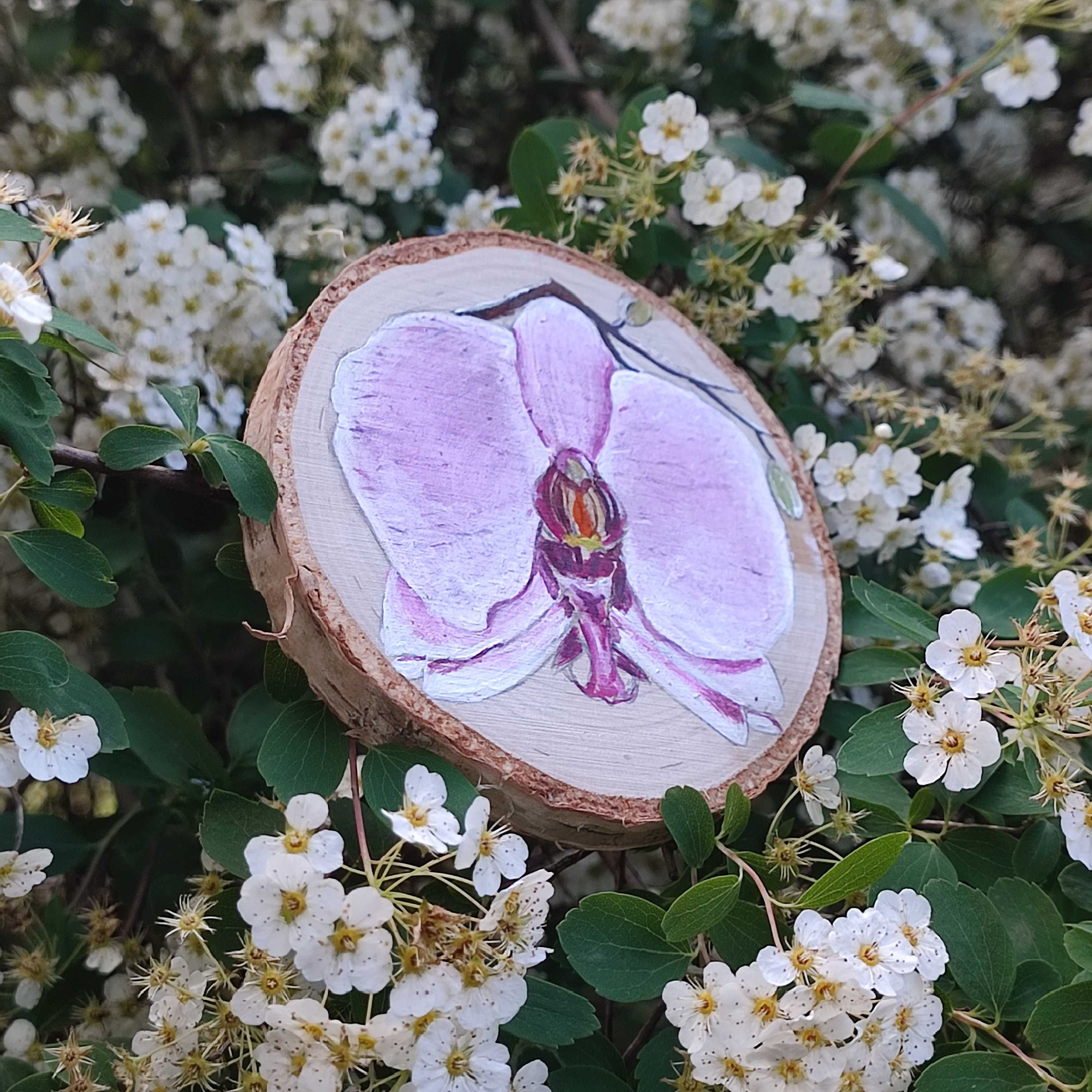 Magnes na lodówkę orchidea