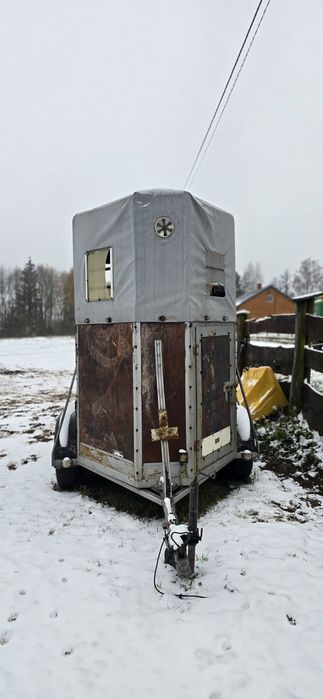 Przyczepa do przewozu koni