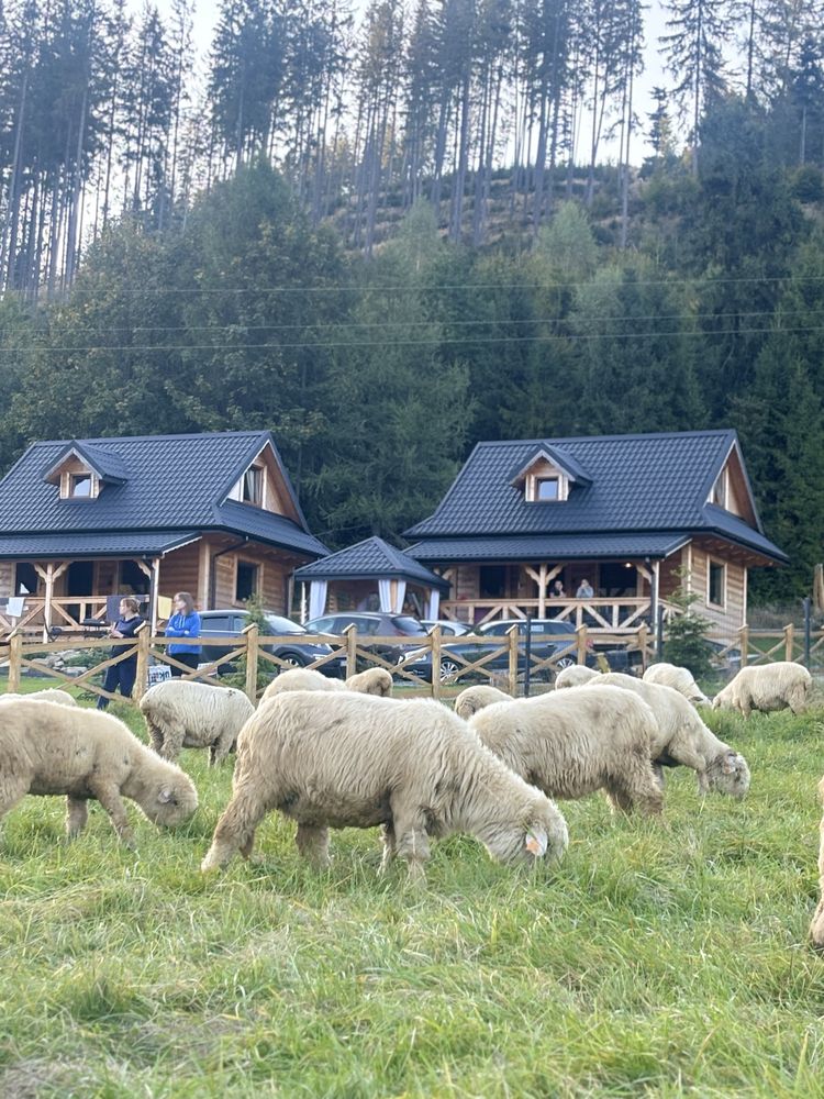 Domek w górach, Jacuzzy , balia.  Świeta /Sylwester