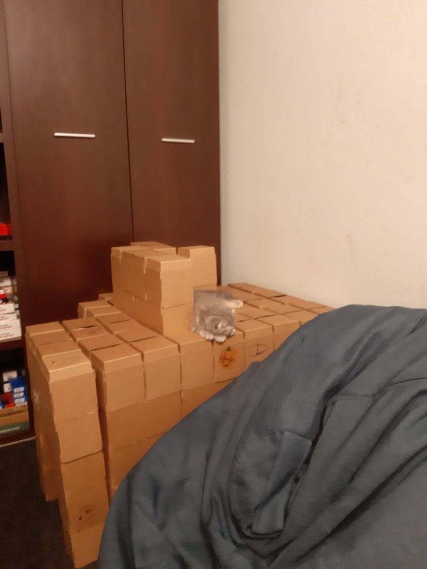 Конструктор Chic Box с экокартона