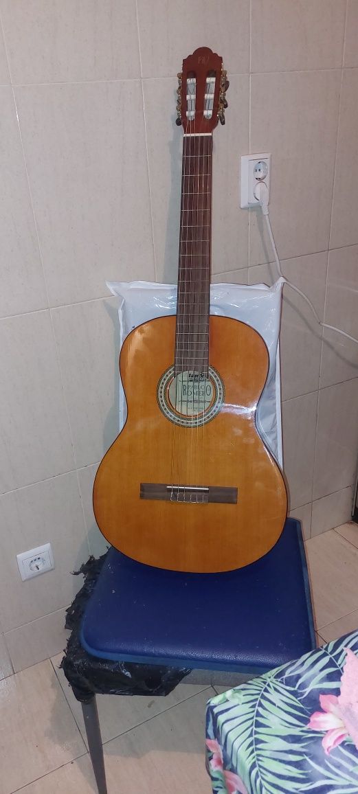 Viola da marca Pablo Romero