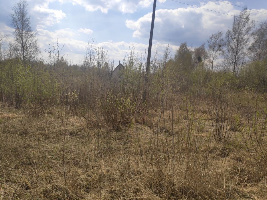 Продаж 12 соток приватизовані