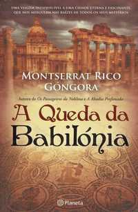 15317

A Queda da Babilónia
de Montserrat Rico Gongora