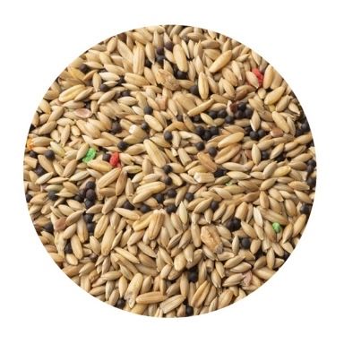 Mistura de sementes para aves