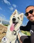 Passeador de Cães Profissional